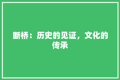 断桥：历史的见证，文化的传承 室内设计