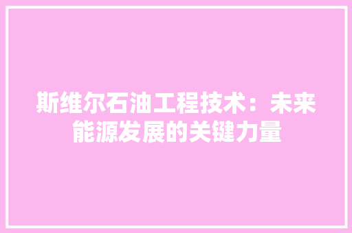 斯维尔石油工程技术：未来能源发展的关键力量 室内设计