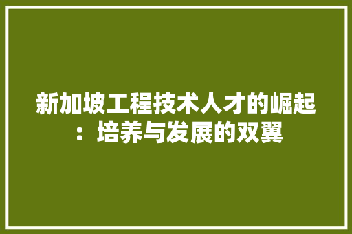 新加坡工程技术人才的崛起：培养与发展的双翼 室内设计