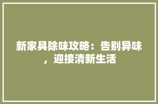 新家具除味攻略：告别异味，迎接清新生活 室内设计