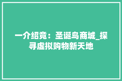 一介绍竟：圣诞鸟商城_探寻虚拟购物新天地