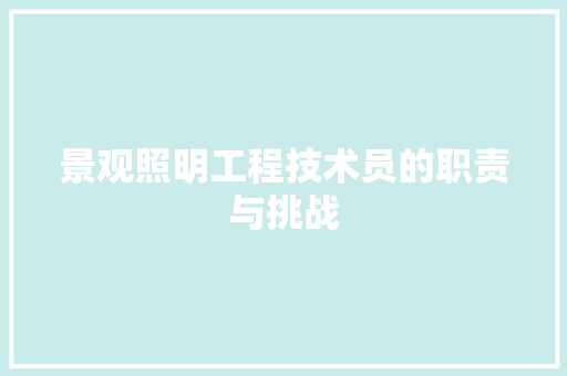 景观照明工程技术员的职责与挑战