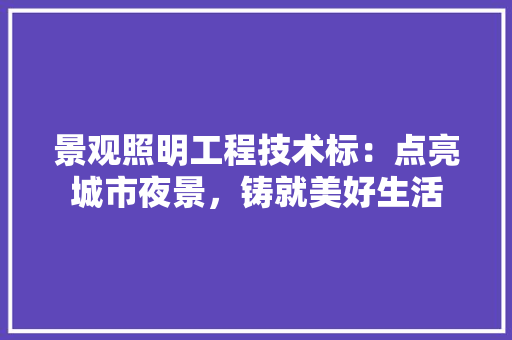 景观照明工程技术标：点亮城市夜景，铸就美好生活 室内设计