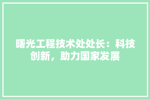 曙光工程技术处处长：科技创新，助力国家发展 室内设计