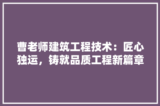 曹老师建筑工程技术：匠心独运，铸就品质工程新篇章 室内设计