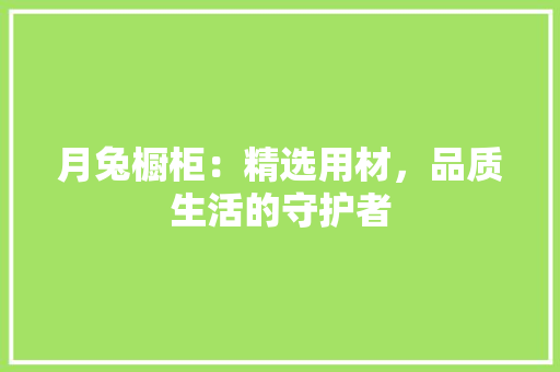 月兔橱柜：精选用材，品质生活的守护者 室内设计