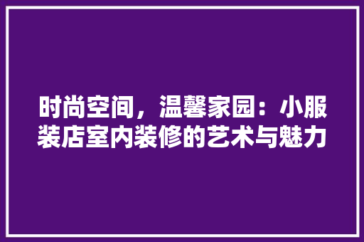时尚空间，温馨家园：小服装店室内装修的艺术与魅力 室内设计
