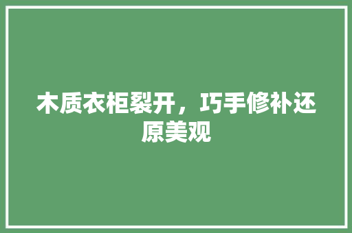 木质衣柜裂开，巧手修补还原美观