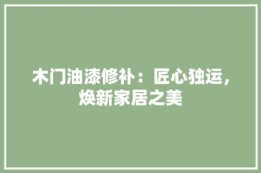 木门油漆修补：匠心独运，焕新家居之美 室内设计