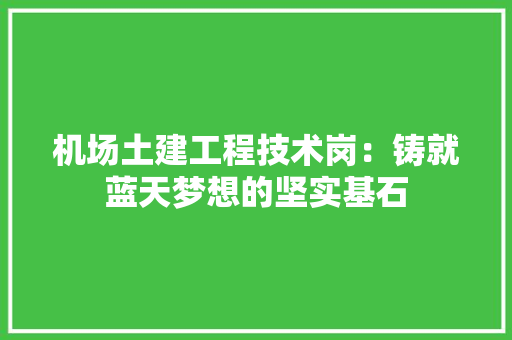 机场土建工程技术岗：铸就蓝天梦想的坚实基石 室内设计