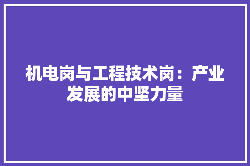 机电岗与工程技术岗：产业发展的中坚力量