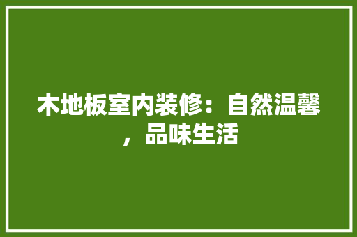 木地板室内装修：自然温馨，品味生活 室内设计