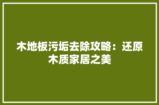 木地板污垢去除攻略：还原木质家居之美 室内设计