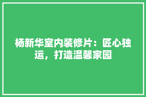 杨新华室内装修片：匠心独运，打造温馨家园 室内设计