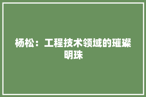 杨松：工程技术领域的璀璨明珠 室内设计