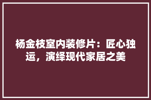 杨金枝室内装修片：匠心独运，演绎现代家居之美 室内设计