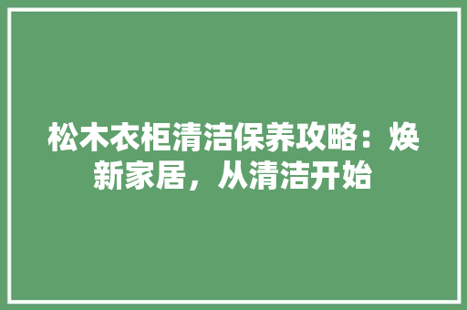 松木衣柜清洁保养攻略：焕新家居，从清洁开始 室内设计