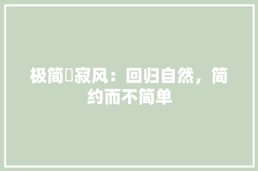 极简侘寂风：回归自然，简约而不简单 室内设计