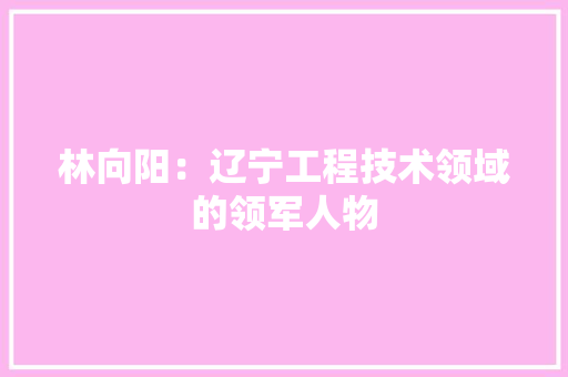 林向阳：辽宁工程技术领域的领军人物