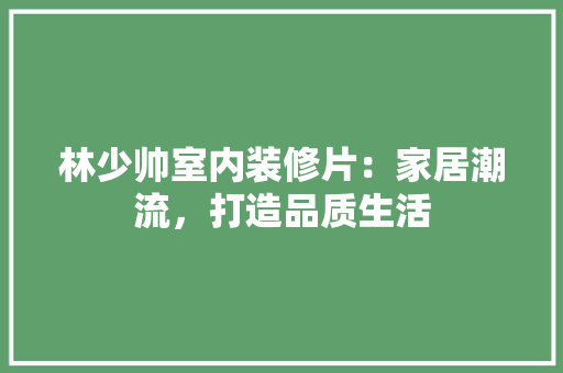 林少帅室内装修片：家居潮流，打造品质生活