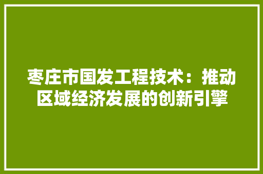 枣庄市国发工程技术：推动区域经济发展的创新引擎 室内设计