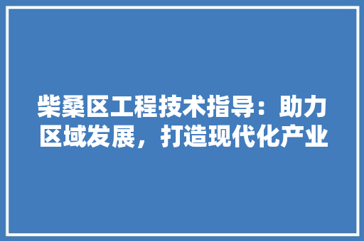 柴桑区工程技术指导：助力区域发展，打造现代化产业新引擎 室内设计