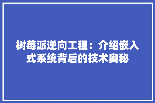 树莓派逆向工程：介绍嵌入式系统背后的技术奥秘 室内设计