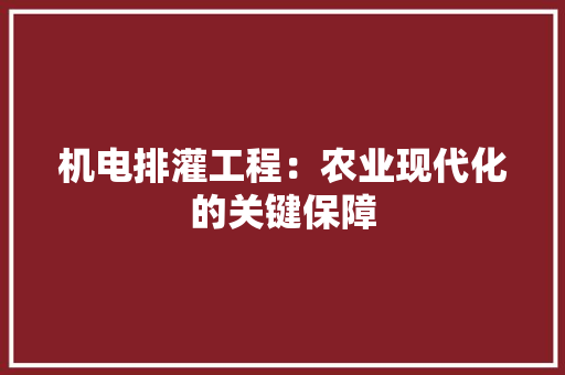 机电排灌工程：农业现代化的关键保障