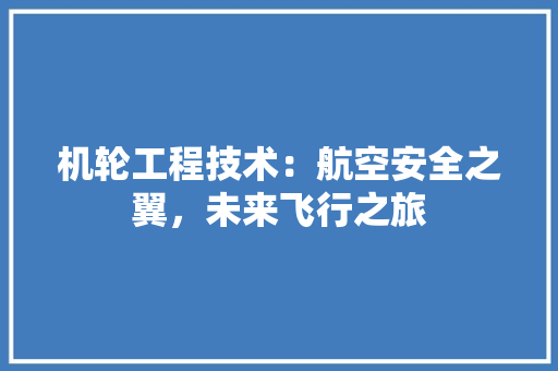 机轮工程技术：航空安全之翼，未来飞行之旅 室内设计