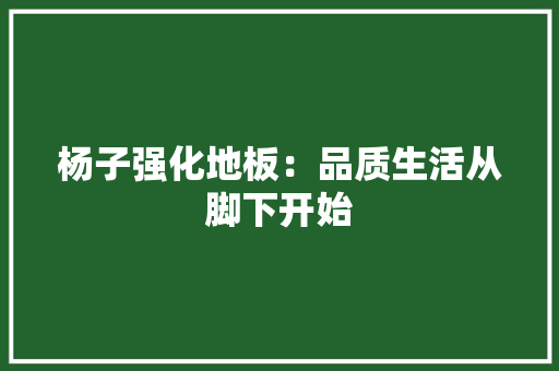 杨子强化地板：品质生活从脚下开始 室内设计