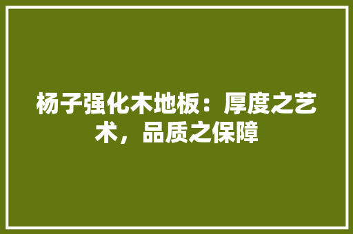 杨子强化木地板：厚度之艺术，品质之保障 室内设计
