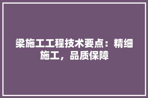梁施工工程技术要点：精细施工，品质保障 室内设计