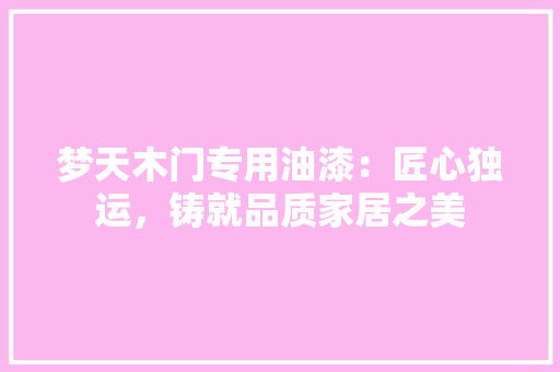 梦天木门专用油漆：匠心独运，铸就品质家居之美