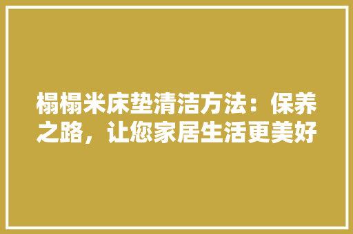 榻榻米床垫清洁方法：保养之路，让您家居生活更美好