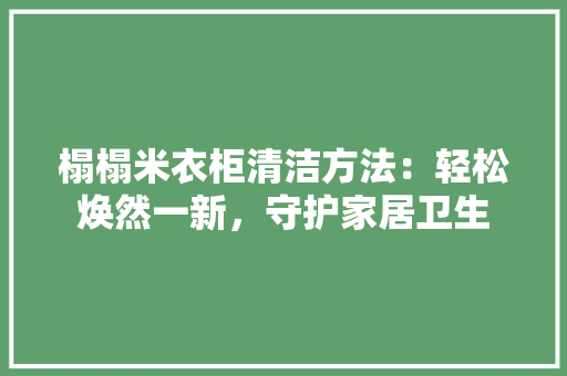 榻榻米衣柜清洁方法：轻松焕然一新，守护家居卫生