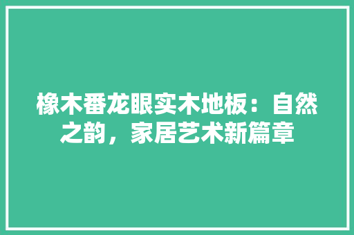 橡木番龙眼实木地板：自然之韵，家居艺术新篇章 室内设计