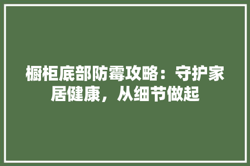 橱柜底部防霉攻略：守护家居健康，从细节做起