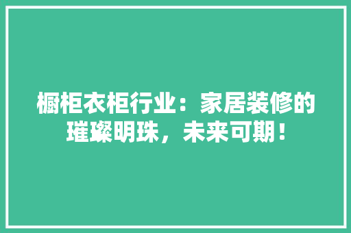 橱柜衣柜行业：家居装修的璀璨明珠，未来可期！ 室内设计
