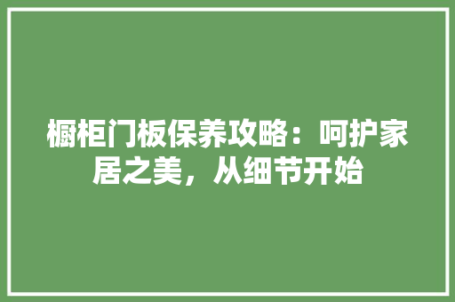橱柜门板保养攻略：呵护家居之美，从细节开始 室内设计