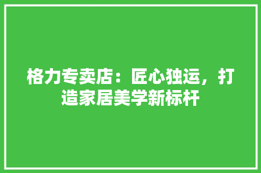 格力专卖店：匠心独运，打造家居美学新标杆
