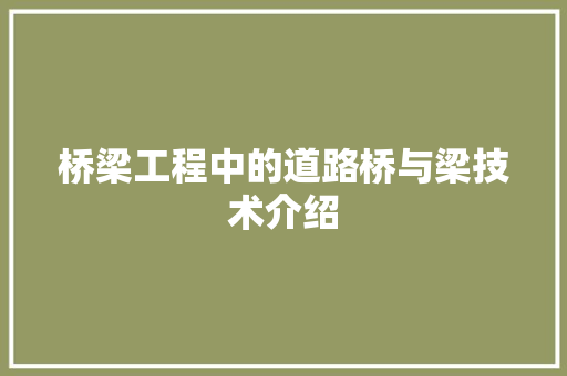 桥梁工程中的道路桥与梁技术介绍 室内设计