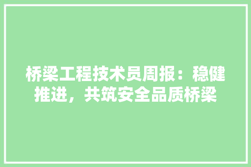 桥梁工程技术员周报：稳健推进，共筑安全品质桥梁