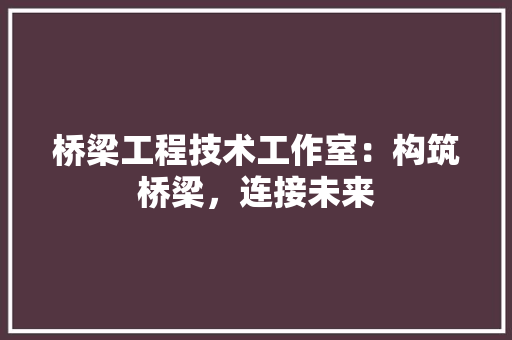 桥梁工程技术工作室：构筑桥梁，连接未来