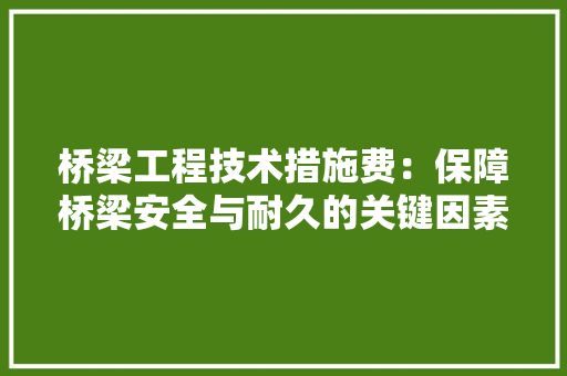 桥梁工程技术措施费：保障桥梁安全与耐久的关键因素 室内设计