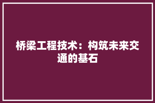 桥梁工程技术：构筑未来交通的基石 室内设计