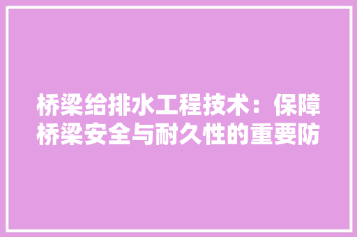 桥梁给排水工程技术：保障桥梁安全与耐久性的重要防线 室内设计