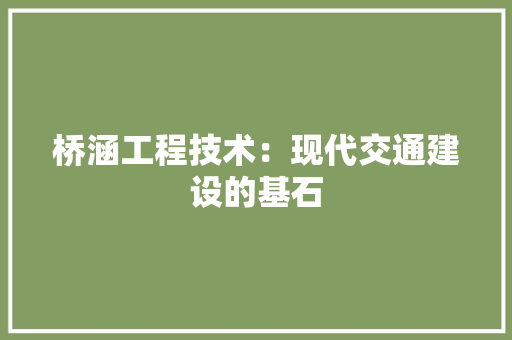 桥涵工程技术：现代交通建设的基石