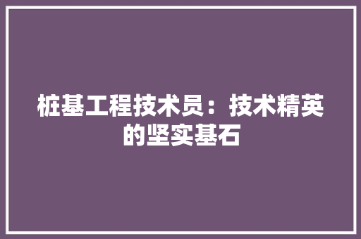 桩基工程技术员：技术精英的坚实基石 室内设计