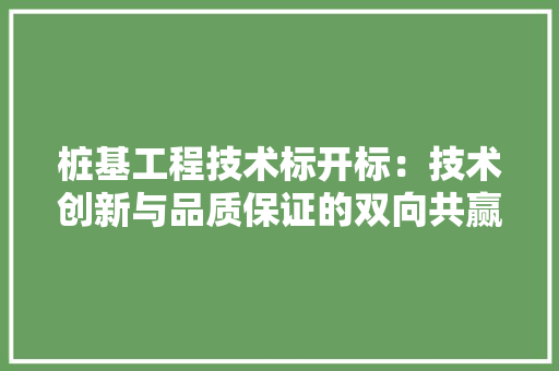 桩基工程技术标开标：技术创新与品质保证的双向共赢 室内设计