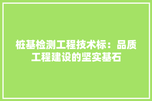 桩基检测工程技术标：品质工程建设的坚实基石
